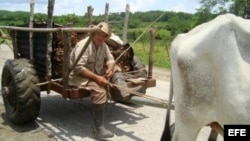 Los campesinos necesitan recursos y también poder de decisión para participar en el diseño de las políticas agrarias