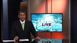 Antena Live