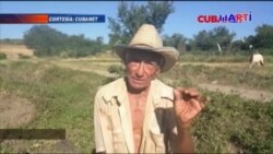 Cómo vive en Cuba un campesino anciano