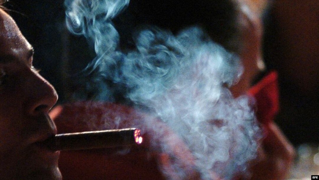 Festival del Habano. 