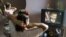 Una mujer se peina mientras ve la televisión cubana. 