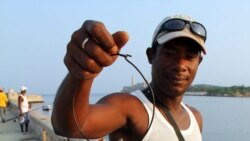 Cubanos no comen pescado