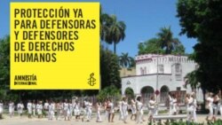Amnistía Internacional anuncia campaña en favor de activistas
