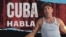 Banner 499