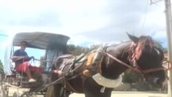 En Guantánamo los cocheros son una alternativa a los problemas del transporte