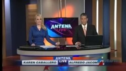 Antena Live