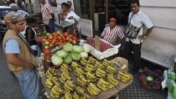 Activistas coinciden en que existe crisis alimentaria en Cuba