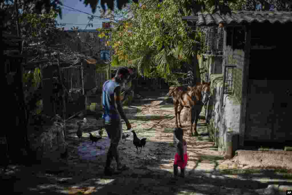 Un caballo que solía tirar de turistas en un carruaje se encuentra afuera con su dueño Rigoberto Romero en La Habana, Cuba, el 24 de febrero de 2021. (AP Fhoto/Ramón Espinosa)