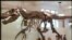 El Museo de Historia Natural es una institución emblemática de la Gran Manzana