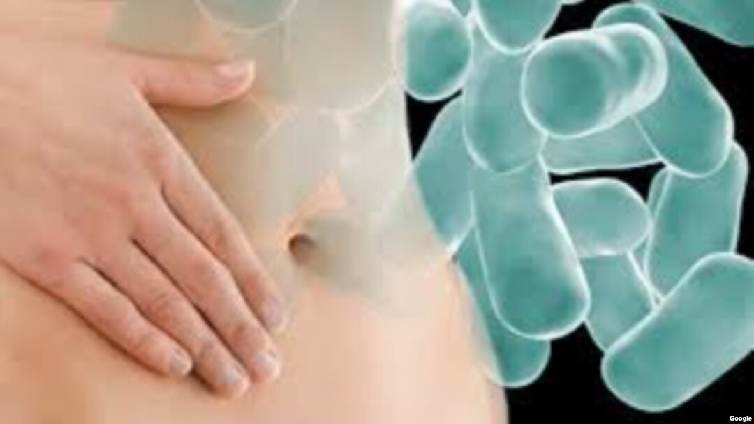 Las bacterias pueden penetrar y crecer en el microambiente de un tumor.