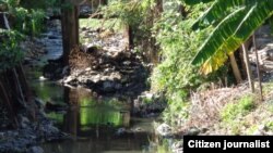 Arroyo oscuro en Guanabacoa