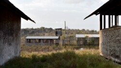 En huelga de hambre ocho jóvenes que intentaron entrar a la Base Naval