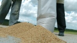 Pésimas condiciones de trabajo en cooperativa de Bayamo