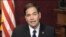 El congresista estadounidense Marco Rubio