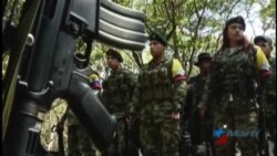Fiscal General de Colombia interviene fondos millonarios de las FARC