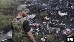Un miliciano prorruso contempla el desastre después que un avión civil de Malaysia Airlines fuera derribado.
