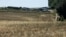 Cráter y restos dispersos dejados por un objeto no identificado en un campo cerca de la localidad de Tarnawa-Kolonia.