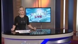 Antena Live