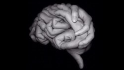 Tómele el pelo al cerebro