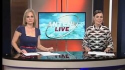 Antena Live
