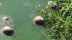 Implementan medidas de seguridad contra el cólera en cárcel de Guantánamo