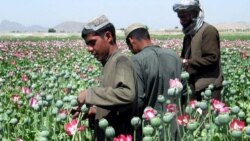 Jesús Rojas/Radio Martí