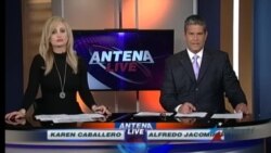 Antena Live