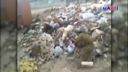 Vecinos indignados por deficiente recogida de basura en barrio santiaguero