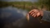 Un campesino sostiene un pez atrapado en un canal de Guanimar, Cuba. REUTERS/Alexandre Meneghini