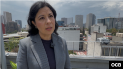 Liliana Obregón, directora de la organización Gobierno y Análisis Político. (OCB)