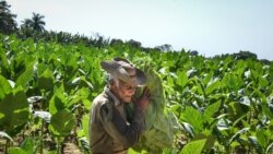 Hoy con Maday González, Mario Jorge Travieso, Esteban Ajete, Ricardo Fernández, Daniel Alfaro, Osmany Poveda y Emiliano González 