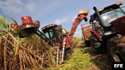 La industria azucarera en Cuba, un sector en crisis. 