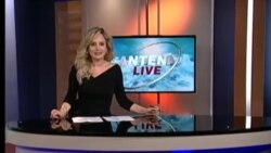 Antena Live