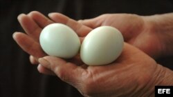 Fotografía de archivo. 