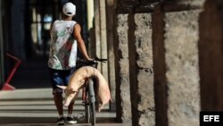 Un hombre camina con un cerdo en una bicicleta el martes 27 de diciembre de 2016, en La Habana (Cuba).