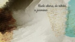 "Huele ahora, de súbito, a jazmines...