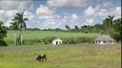 Alborada Guajira