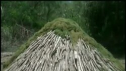 La producción y venta de carbón es importante para los guantanameros