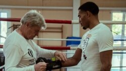 Boxeador cubano Osleys Iglesias 