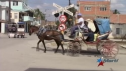 ¿Cuánto cuesta tener un caballo en Cuba?
