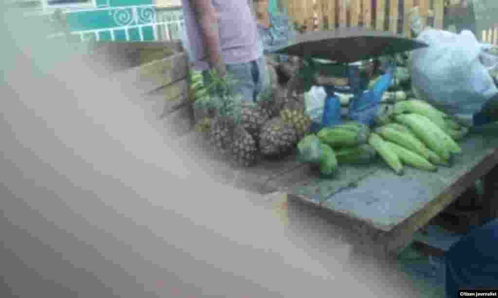 Reporta Cuba mercados Gtanamo Foto Niober García