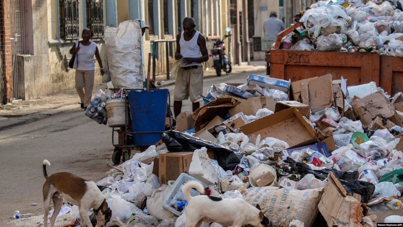 "¿El gobierno no ve eso o el gobierno soltó al pueblo?", se pregunta un habanero que come de la basura (VIDEO)
