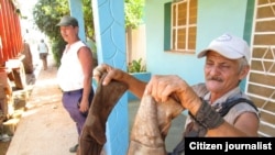La recogida de basura en Artemisa.