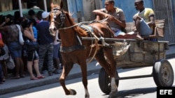 El transporte público es una broma y un carretón tirado por un caballo es más confiable que una guagua.