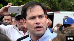 El senador por Florida Marco Rubio.