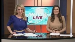 Antena Live