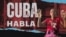 Banner 545