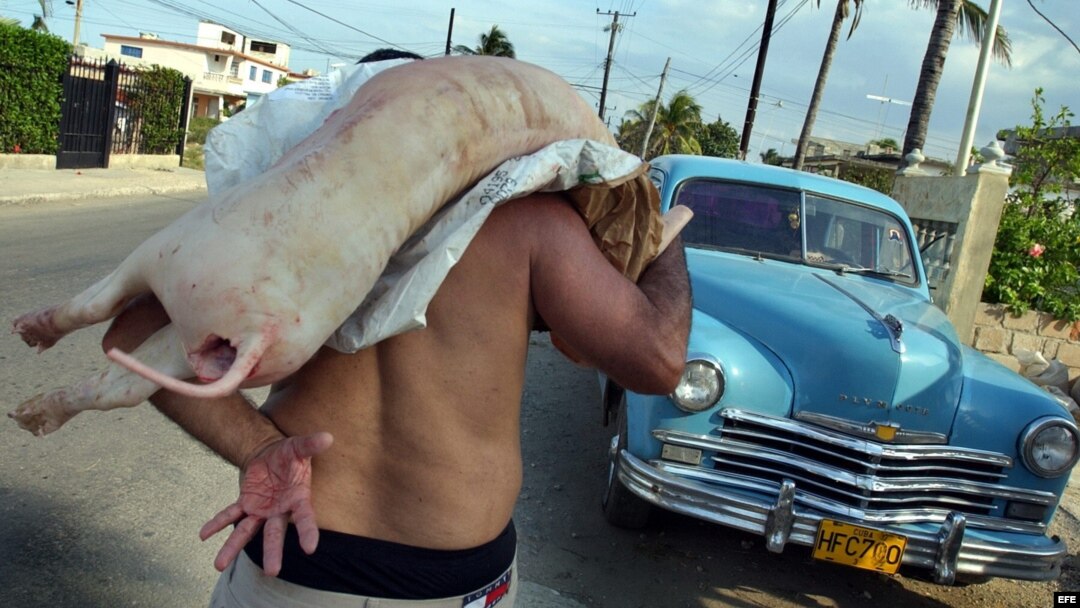 En Cuba el eje de la comida tradicional de fin de año es la carne de cerdo, pero en diciembre de 2012 una libra cuesta 30 pesos, o 7 % del salario medio mensual.