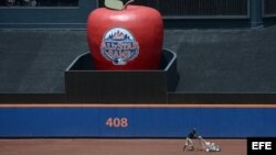 Los jardines del Citi Field, en New York. 