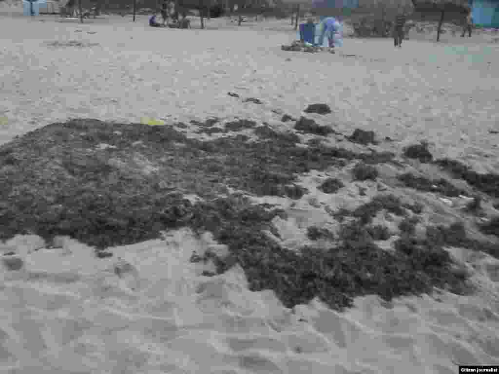 Reporta Cuba playas Habana Foto Miladis Carnel